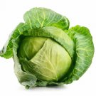 500 Seeds Golden Acre Cabbage Seeds For Garden Planting Easy to Grow