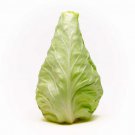 500 Seeds Conehead Cabbage Seeds For Garden Planting Easy to Grow