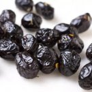 10 Seeds Beldolive Seeds For Garden Planting A Easy to Grow