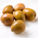 10 Seeds Gordal Olive Seeds For Garden Planting Easy to Grow