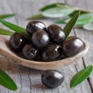 10 Seeds Mission Black Olive Seeds For Garden Planting Easy to Grow