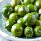 10 Seeds Castelvetrano Olive Seeds For Garden Planting Easy to Grow