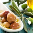 10 Seeds Arbequina Spanish Olive Seeds For Garden Planting Easy to Grow