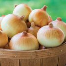 500 Seeds Candy Onion Seeds For Garden Planting Easy to Grow