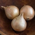 500 Seeds Ailsa Craig Onion Seeds For Garden Planting Easy to Grow