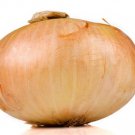 500 Seeds Vidalia Onion Seeds For Garden Planting Easy to Grow