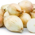 500 Seeds Mauonion Seeds For Garden Planting Easy to Grow
