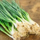 500 Seeds Scallion Green Onion Seeds For Garden Planting Easy to Grow