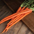 1000 Seeds Viper Carrot Seeds For Garden Planting Easy to Grow