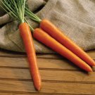 1000 Seeds Olymp Carrot Seeds For Garden Planting Easy to Grow