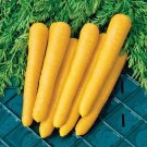 1000 Seeds Gold Nugget Carrot Seeds For Garden Planting Easy to Grow