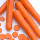 1000 Seeds Bolero Carrot Seeds For Garden Planting Easy to Grow