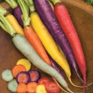 1000 Seeds Kaleidoscope Rainbow Carrot Seeds Planting Easy to Grow