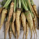 1000 Seeds Lunar White Carrot Seeds For Garden Planting Easy to Grow
