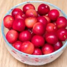 10 Seeds Sato Nishiksatonishikcherry Seeds Planting Easy to Grow