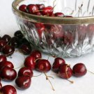 10 Seeds Sunburst Cherry Seeds For Garden Planting Easy to Grow