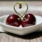 10 Seeds Hedelfingen Cherry Seeds For Garden Planting Easy to Grow