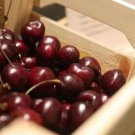 10 Seeds Tieton Cherry Seeds For Garden Planting Easy to Grow