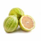 5 Seeds Variegated Pink Lemon Seeds For Garden Easy to Grow