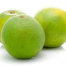 5 Seeds Sweet Lime Lemon Seeds For Garden Easy to Grow