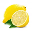 5 Seeds Santa Teresa Lemon Seeds For Garden Easy to Grow