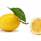 5 Seeds Limone Dsiraca Sicilian Lemon Seeds Planting Easy to Grow