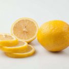 5 Seeds Limone Drocca Imperiale Lemon Seeds For Planting Easy to Grow