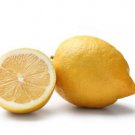 5 Seeds Interdonato Messina Lemon Seeds For Garden Planting Easy to Grow