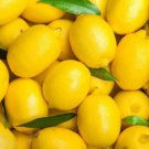 5 Seeds Honeydew Lemon Seeds For Garden Planting Easy to Grow