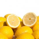 5 Seeds Fino Citron Lemon Seeds For Garden Planting Easy to Grow