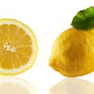 5 Seeds Femminello St Teresa Lemon Seeds For Garden Planting Easy to Grow