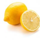 5 Seeds Eureka Lemon Seeds For Garden Planting Easy to Grow