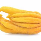 5 Seeds Buddhas Hand Lemon Seeds For Garden Planting Easy to Grow