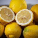 5 Seeds Bonnie Brae Lemon Seeds For Garden Planting Easy to Grow