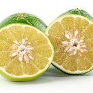 5 Seeds Cocktail Grapefruit Seeds For Garden Planting Easy to Grow