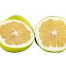 5 Seeds Melogold Grapefruit Seeds For Garden Planting Easy to Grow