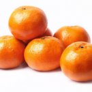 5 Seeds Murcott Orange Seeds For Garden Planting Easy to Grow