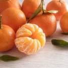 5 Seeds Clementine Orange Seeds For Garden Planting Easy to Grow