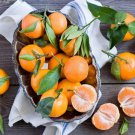 5 Seeds Tangerine Orange Seeds For Garden Planting Easy to Grow