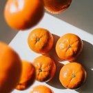5 Seeds Mandarin Orange Seeds For Garden Planting Easy to Grow