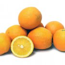 5 Seeds Lima Orange Seeds For Garden Planting Easy to Grow