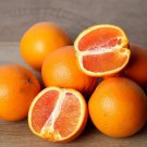 5 Seeds Cara Cara Orange Seeds For Garden Planting Easy to Grow