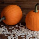 25 Seeds Autumn Gold Pumpkin Seeds For Garden Planting Easy to Grow