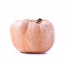 25 Seeds Porcelain Doll Pumpkin Seeds For Garden Planting Easy to Grow