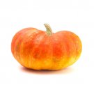 25 Seeds Cinderella Pumpkin Seeds For Garden Planting Easy to Grow