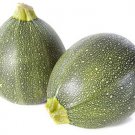 25 Seeds Eight Ball Zucchinsquash Seeds For Garden Planting Easy to Grow