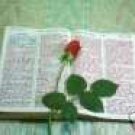  702 Pages Ebook The King James Bible FREE SHIPPING