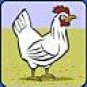 World Renowned Chicken Recipes 50 Delicious Dishes eBook Digitally Delivered to Your Email