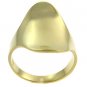 Free Shipping 14K French Gold Plated 2 Micron Costume Jewelry Ring Size 9