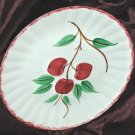 BLUE RIDGE Southern Potteries Inc. CHERRY BOUNCE Hand Painted Deep Well Platter